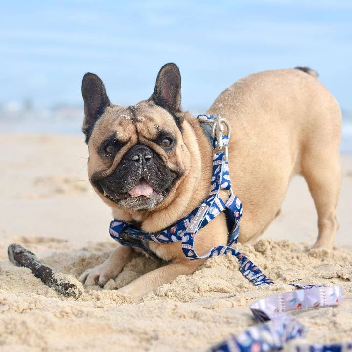 Coco and Pud - Vente Harnais – chien - Harnais pour chien Uniclip Lite Coco & Pud Birds of Feather1