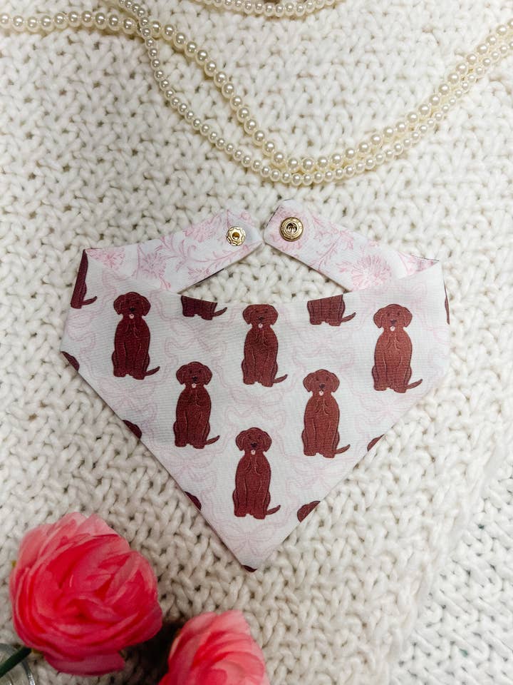 Doodle Dog Bandana, Coquette Snap On Pet Scarf for wholesale by StellaLoo