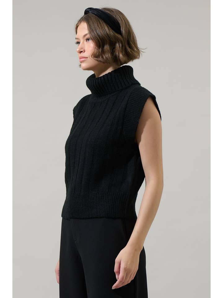 Sugarlips - Wholesale Knit Sweater - Women's - Anaya Turtle Neck Ribbed Sweater Top2