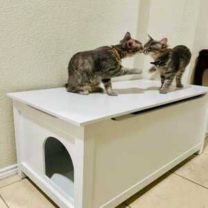 Designer Pet Products, LLC - Wholesale Cat Litter Box - Cat Litter Box Enclosure, Dog Proof-White Cat Box,  Stylish 6