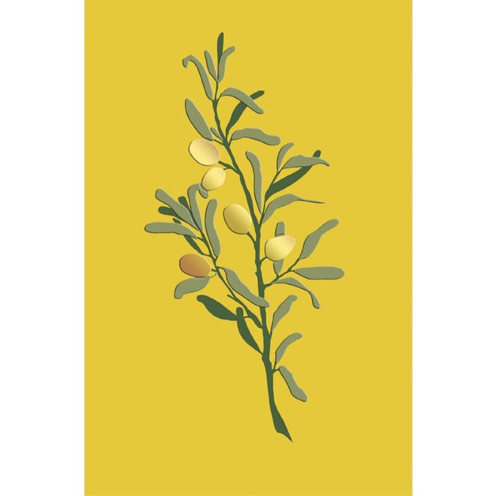 Olive Branch Everyday Greeting Card for wholesale by Nelson Line