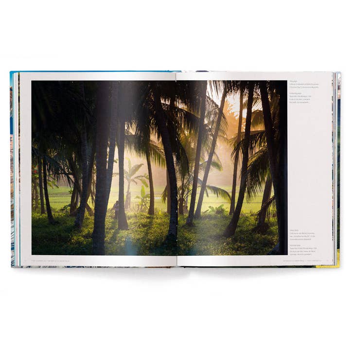 gestalten & teNeues - Wholesale Arts & Entertainment Book - The World3