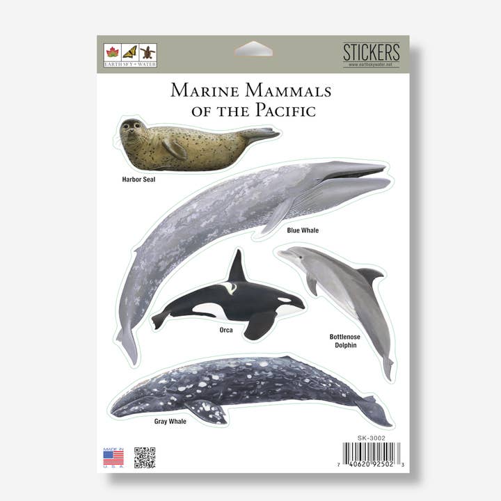 Marine Mammals of the Pacific Nature Stickers, 5" x 7" for wholesale by Earth Sky + Water