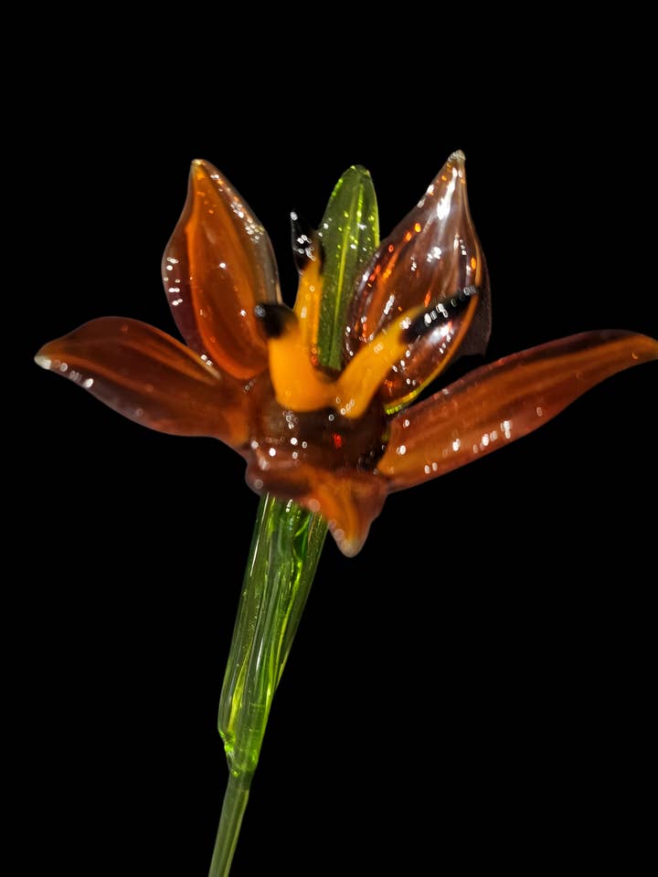 Burnt Orange Glass Lily, Handcrafted Glass Flower, Hand Made In Ukraine Using Murano Quality Glass, Great Gift For Flower Lovers, 12 Inch Lily for wholesale by Glass by Iness
