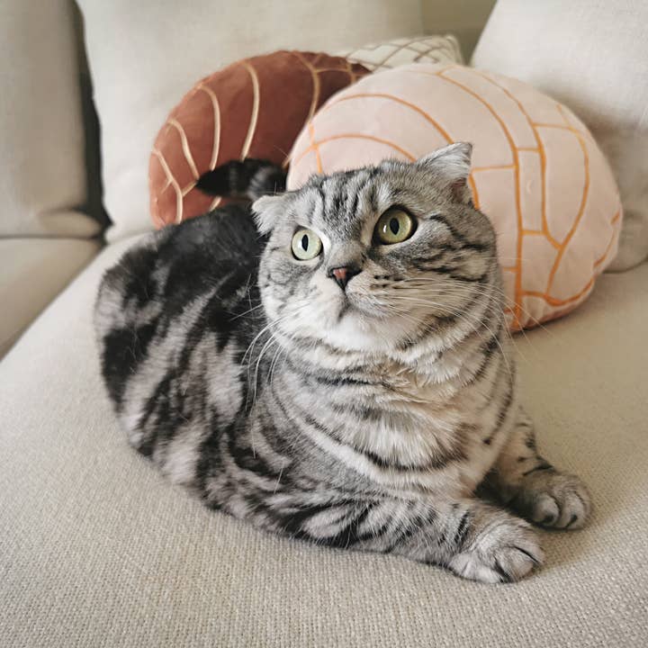 Abound Lifestyle - Wholesale Throw/Decorative Pillow - Concha Bread Decorative Throw Pillow24