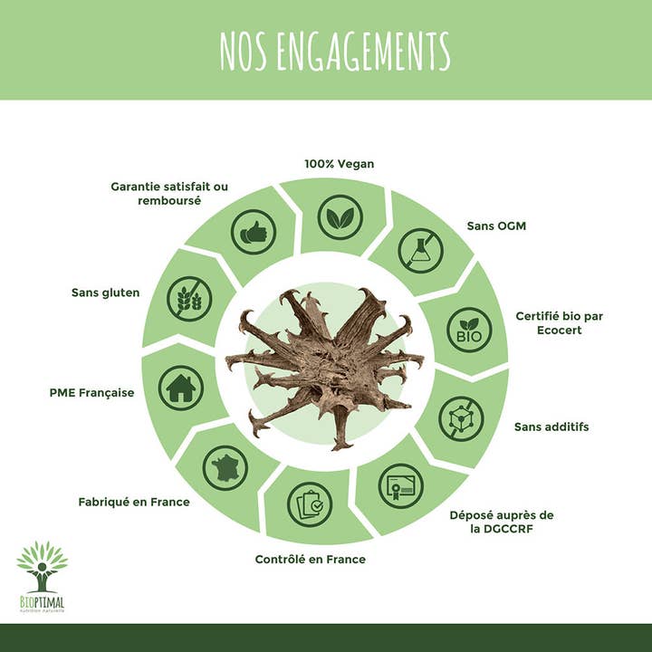 Bioptimal – wholesale Oralt tillskott/Vitamin – Harpagophytum Bio - Kosttillskott i kapslar6