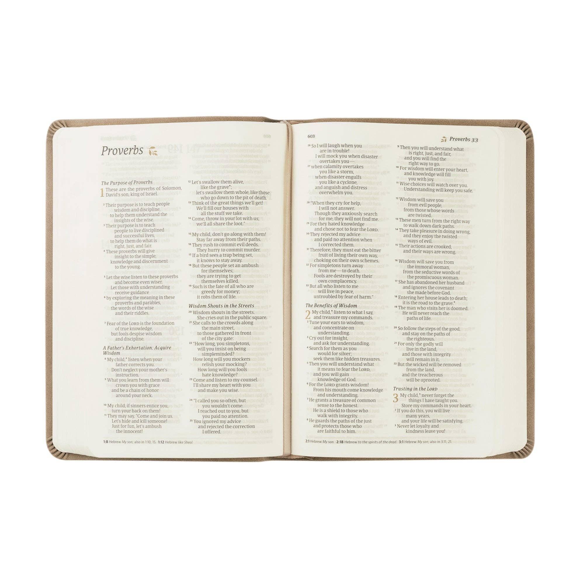 Hosanna Revival - Wholesale Religion Book - NLT Compact Bible: Marlo Theme4