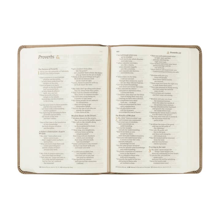 Hosanna Revival - Wholesale Religion Book - NLT Compact Bible: Marlo Theme4