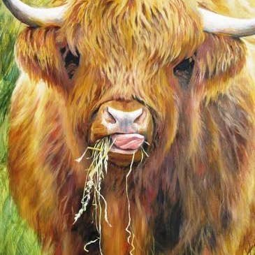 All Jigsaw Puzzles - Wholesale Puzzle - Adult - Highland Cow, 1000 Piece Jigsaw Puzzle