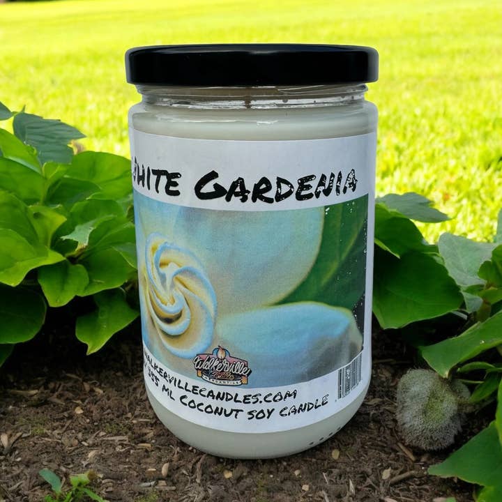 Vela ecológica de gardenia blanca de 12 oz de coco y soja para venta al por mayor de Walkerville Candles