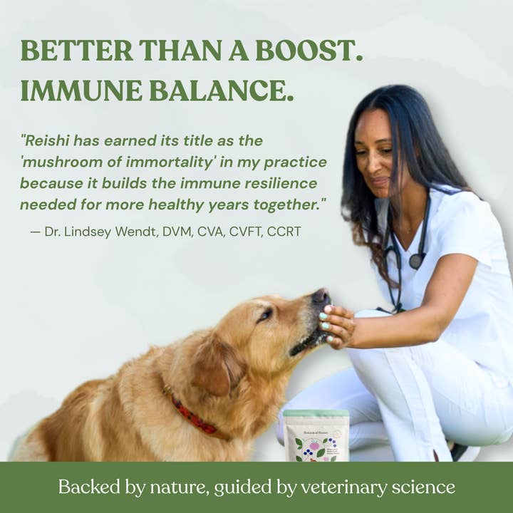 Botanical Bones - Wholesale Pet Treats - Dog - Flower Power Cookies - All Natural, Organic Dog Treats 5