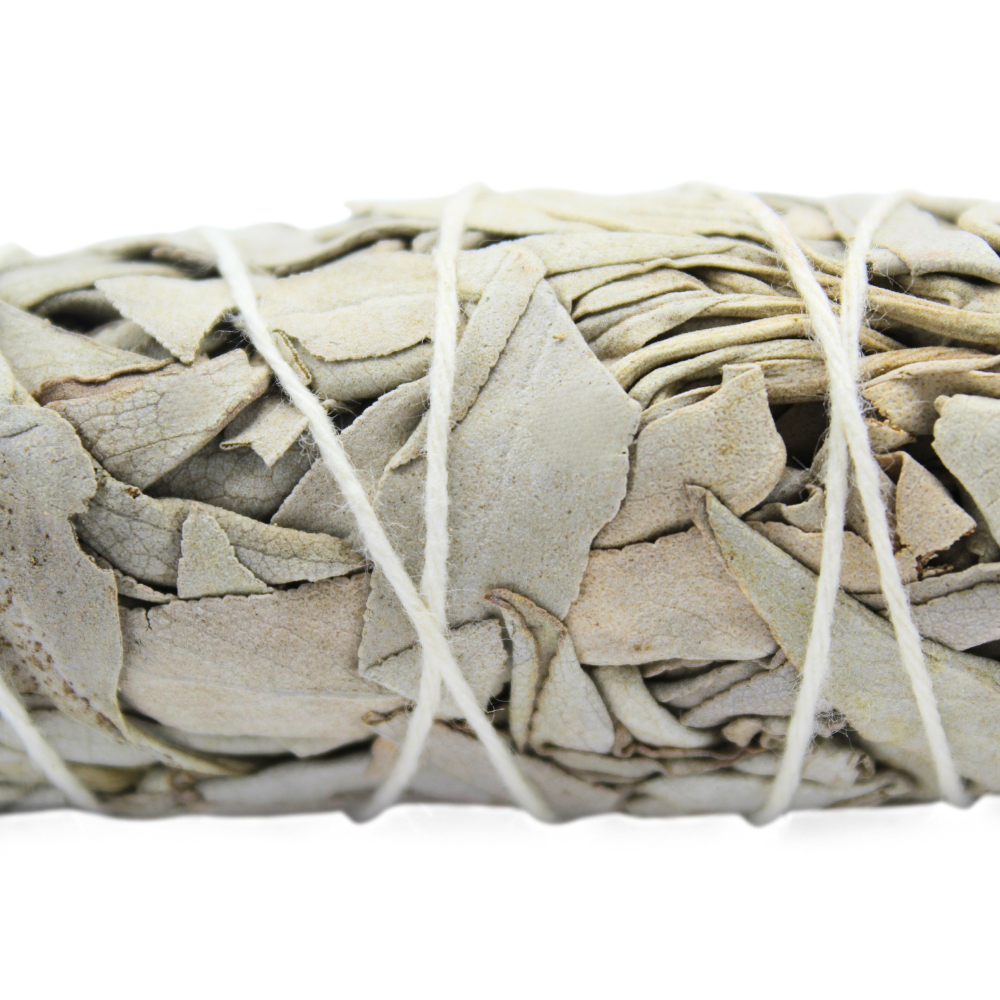 Green Tree - Wholesale Sage bundle - Californian White Sage Smudge (Premium Salvia Apiana) 10cm1