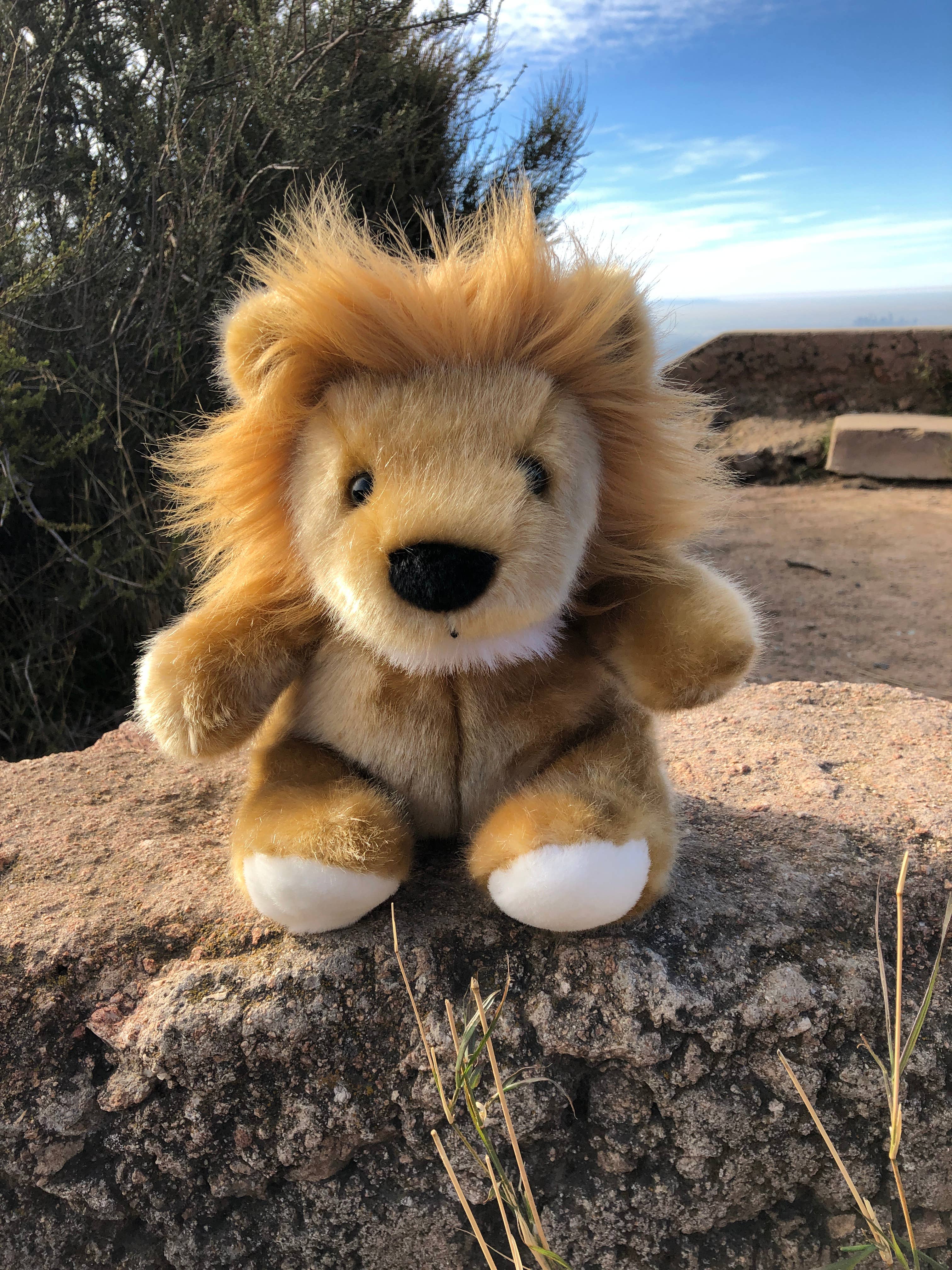 Plushland - Wholesale Stuffed/Plush Toy - Kids & Baby - Traditional Super Soft Golden Lion 11"4