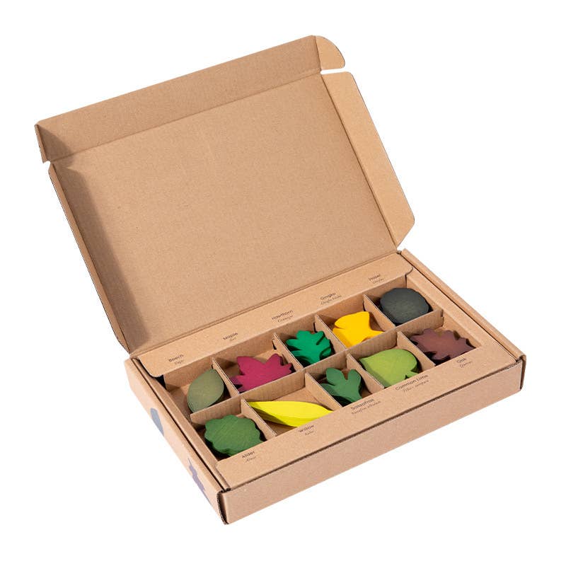 Q&C Distribution - Wholesale Wood Toy - Kids - Wooden Leaf Toy Montessori Toys (3+)2