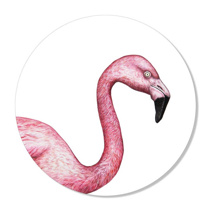 Flamingo Väggcirkel för wholesale av GM decoratie