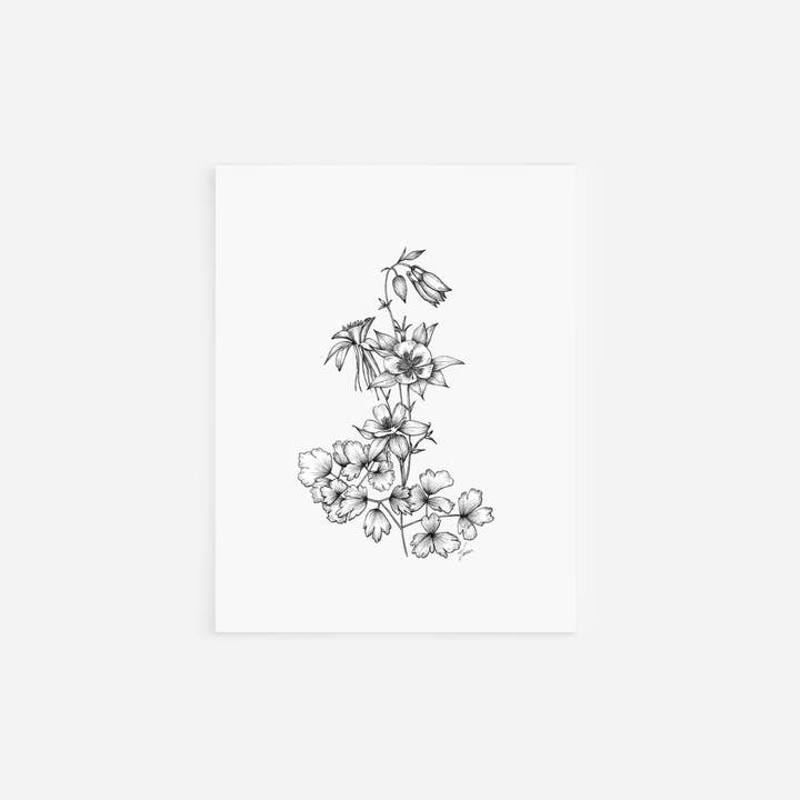 Vanee.ink - Wholesale Stationery/Notecard Set - Columbine Notecard (Colorado)4