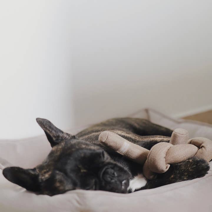 Lambwolf Collective - Wholesale Pet Toy - Dog - NOU//TAN//ENRICHMENT DOG TOY2