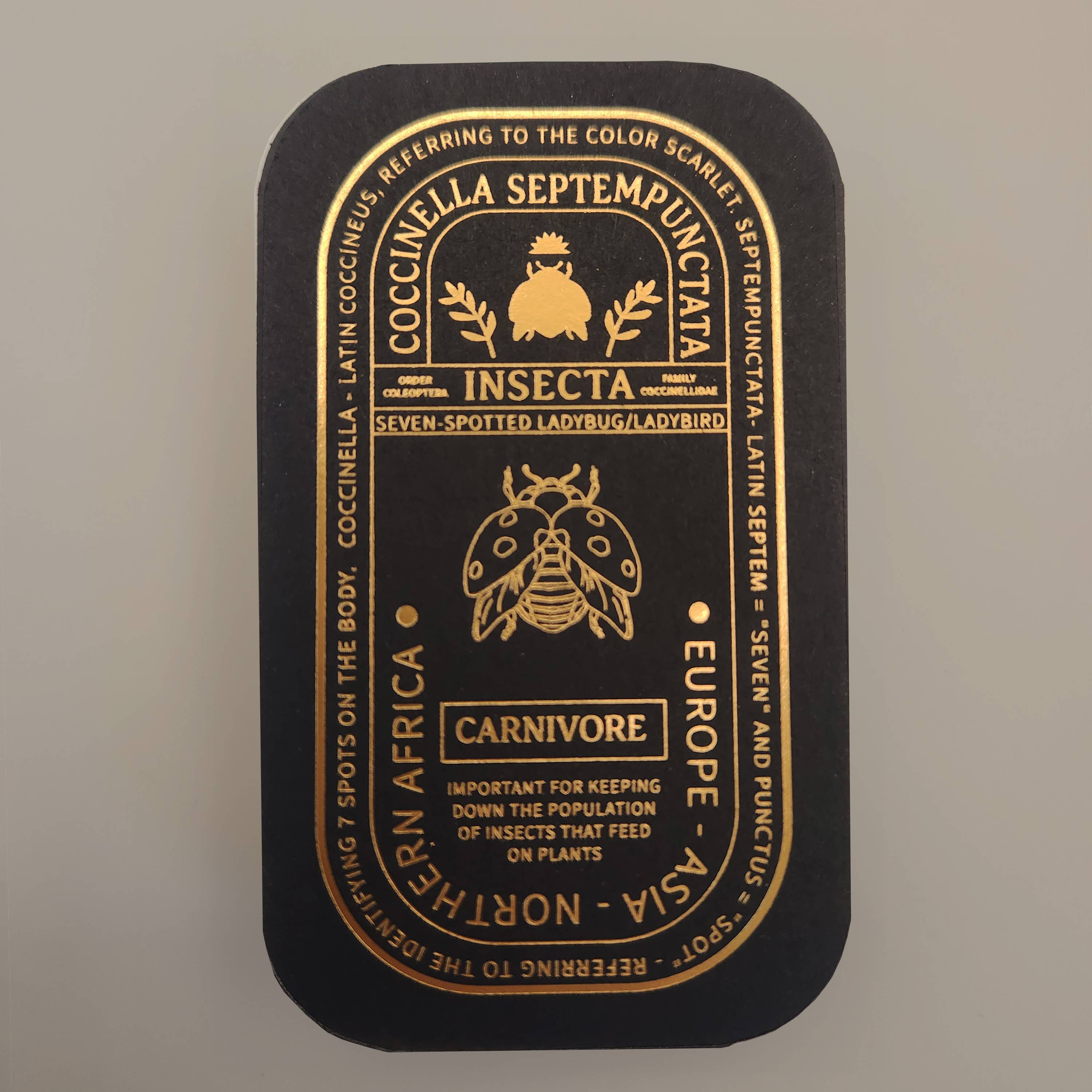 Pinsects – wholesale Lapel pin/button – Seven-Spotted Ladybug Educational Insect Enamel Pin5