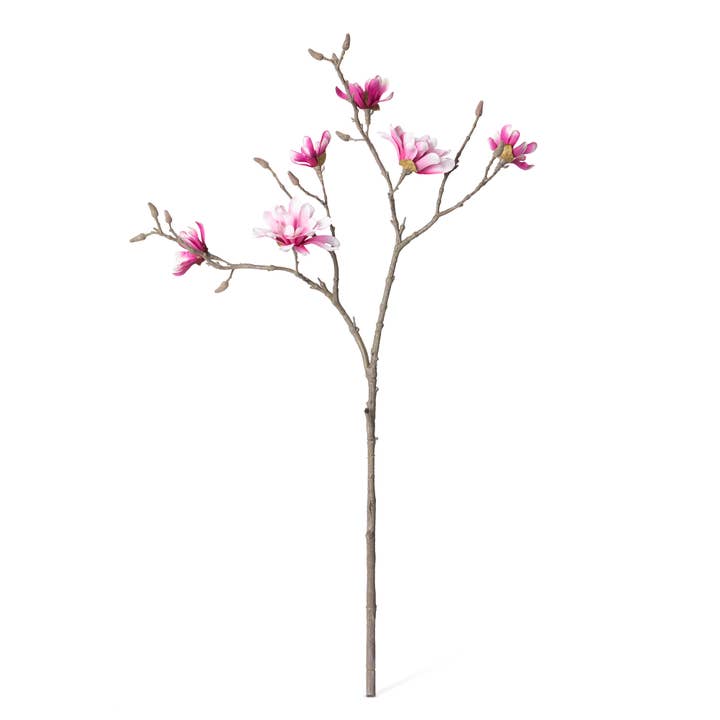 Park Hill Collection Japanese Magnolia Branch for wholesale by Park Hill Collection