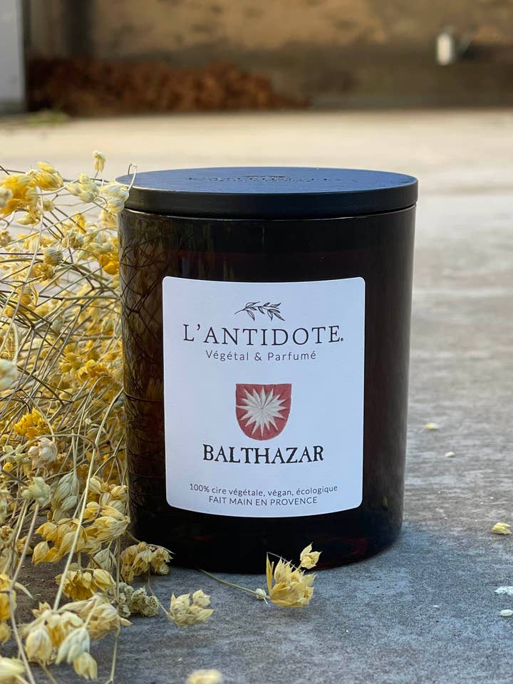 Candela BALTHAZAR per la vendita all'ingrosso da parte di L'ANTIDOTE