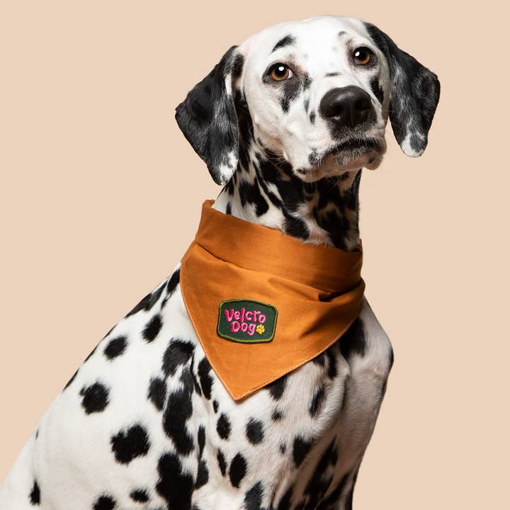 Scout's Honour - Wholesale Pet Bandana - Dog - Velcro Dog iron-on patch for dogs