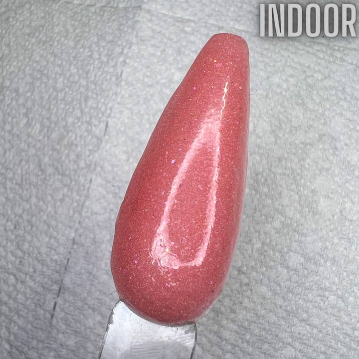 Poudre à tremper Pixie Guts pour la vente par Brandy Loves Beauty