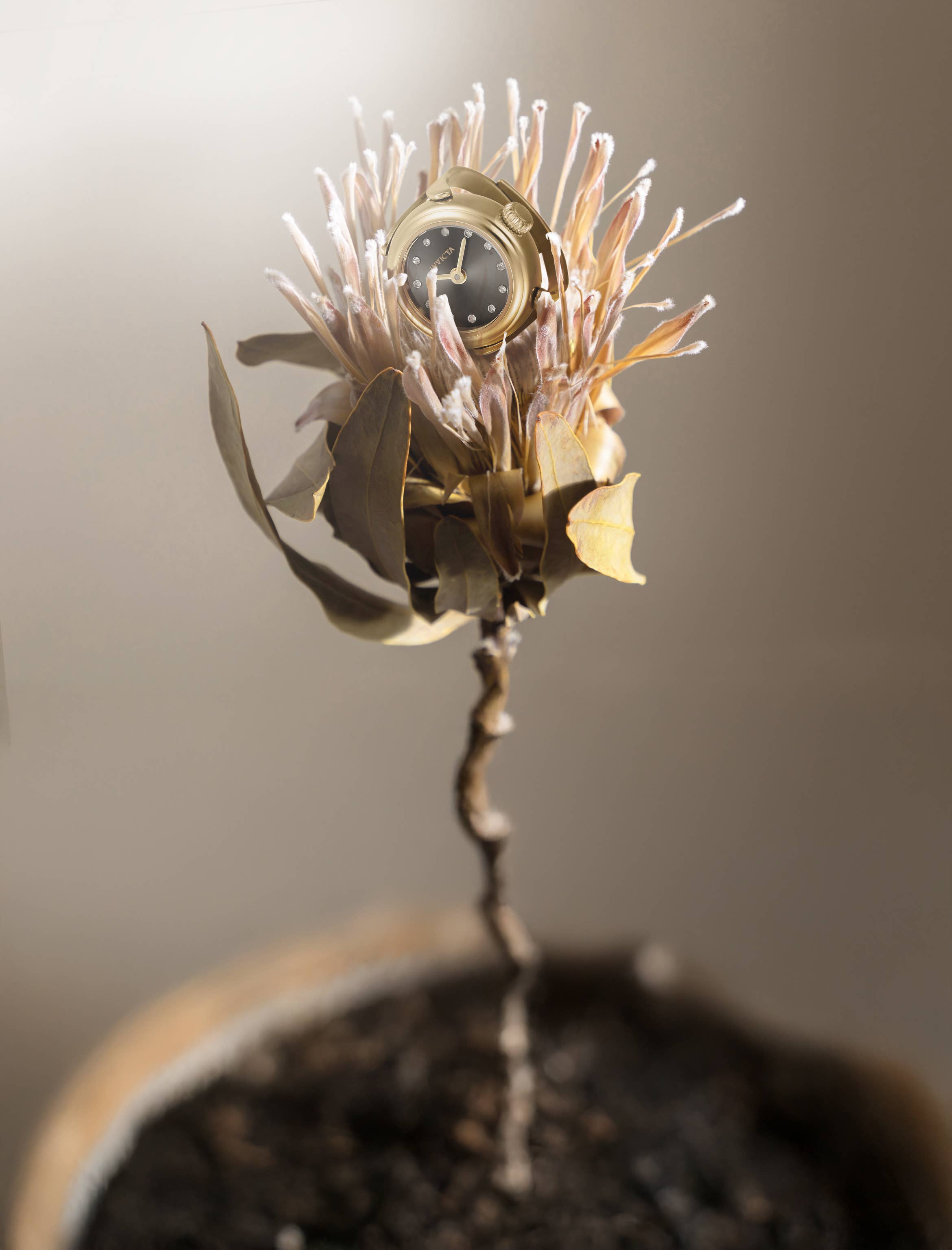 Invicta - Wholesale Wrist Watch - Women's - 44482 Invicta Mini Ring Watch With Giftbox1