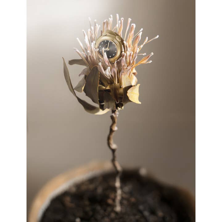 Invicta - Wholesale Wrist Watch - Women's - 44482 Invicta Mini Ring Watch With Giftbox1