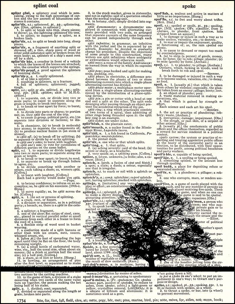 Fresh Prints of CT - Vente Affiche d'art - Dictionnaire Oak Tree0