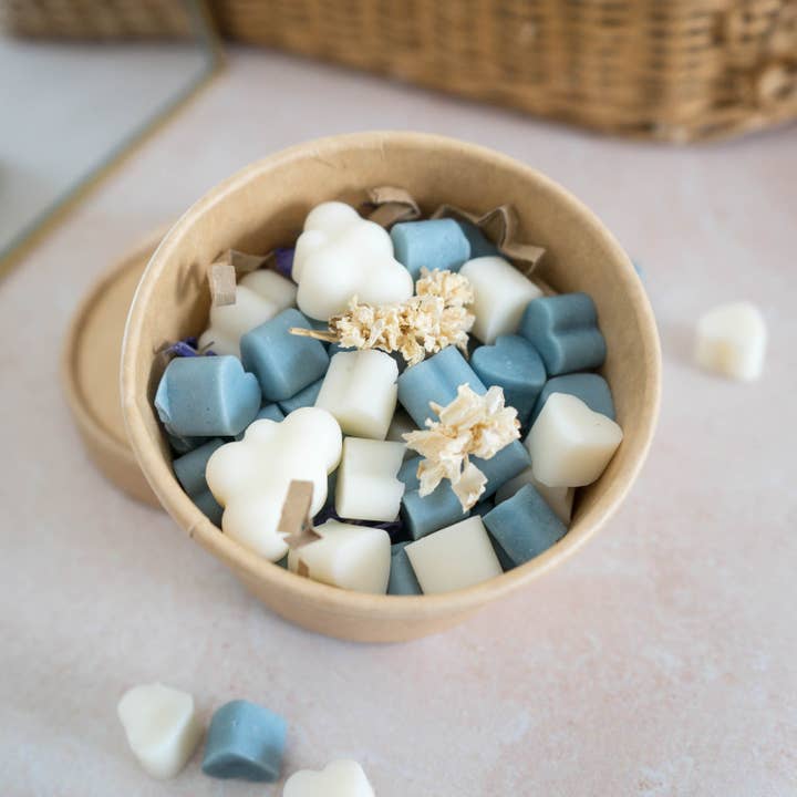 Leaves & Co – wholesale Wax melt – Box of mini wax melts with Fleur de Lin scented wax
