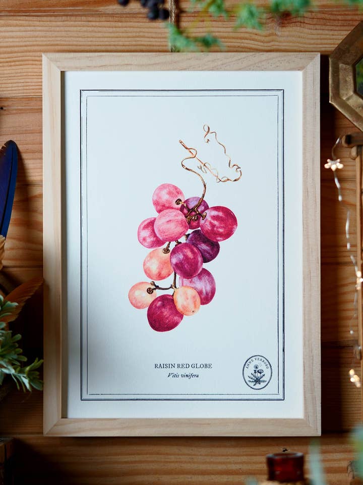 A4 Raisin Poster for wholesale by ANNE VERBORG