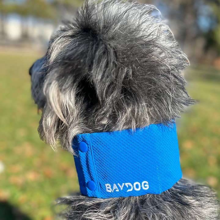 BAYDOG – Engroshandel Halsbånd - Hund – Arctic Bay kølehalsbånd til hunde11