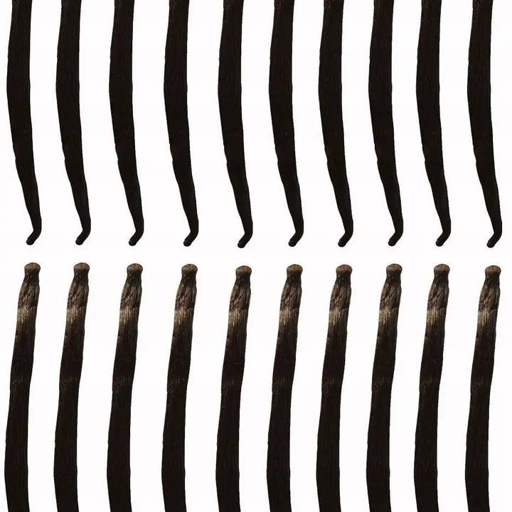 WANILIA LASKI 20 SZT 10-14cm Laska Wanilii JAKOŚĆ1 for wholesale by Royal Brand