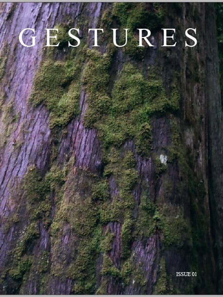 Journal de G E S T U R E S pour la vente par g e s t u r e s