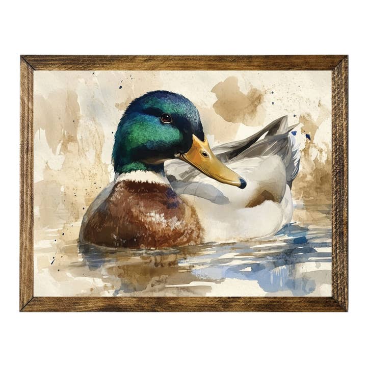 CANARD COLVERT COLORÉ NAGEANT DANS L'EAUCOULEUR CADRE TIMBERLAND pour la vente par Jarmz Designs