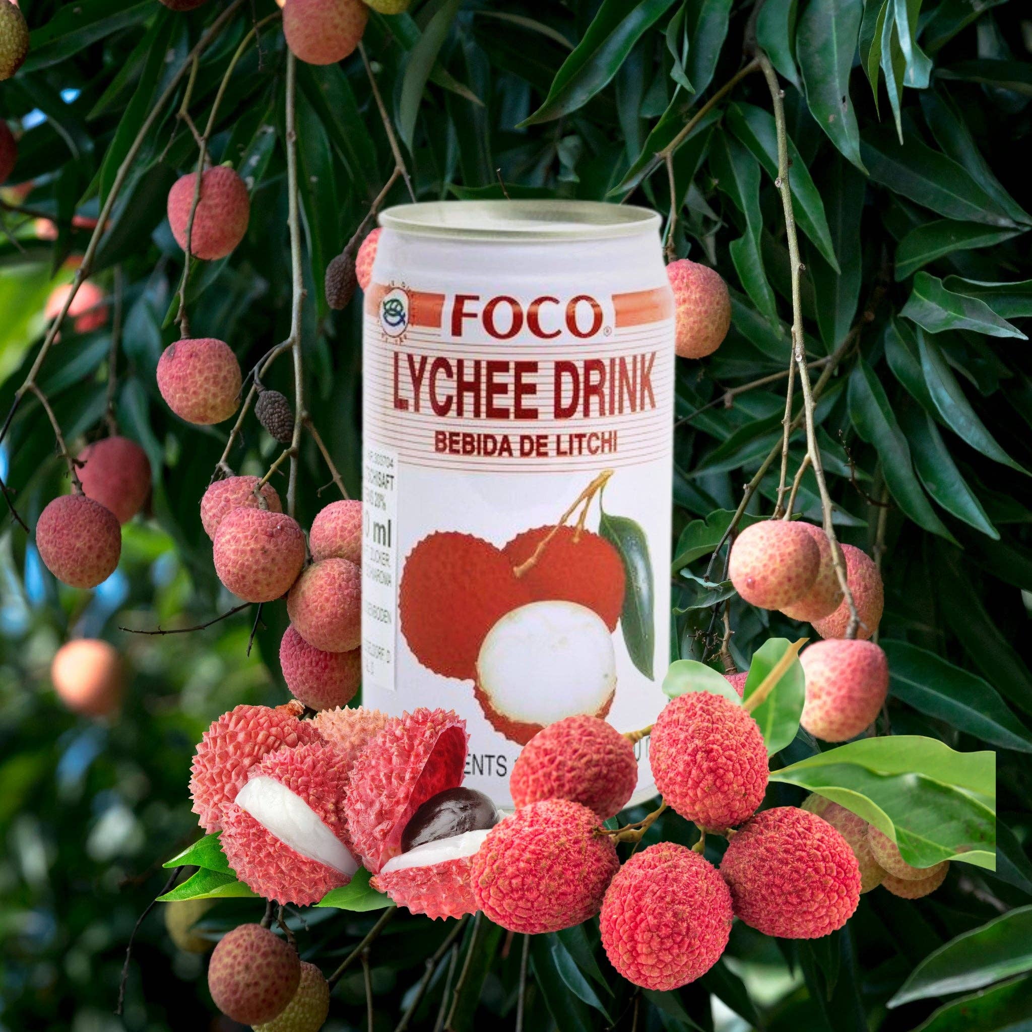 utoppa GmbH - Wholesale Fruit Juice - Foco Lychee Drink 350 ml1