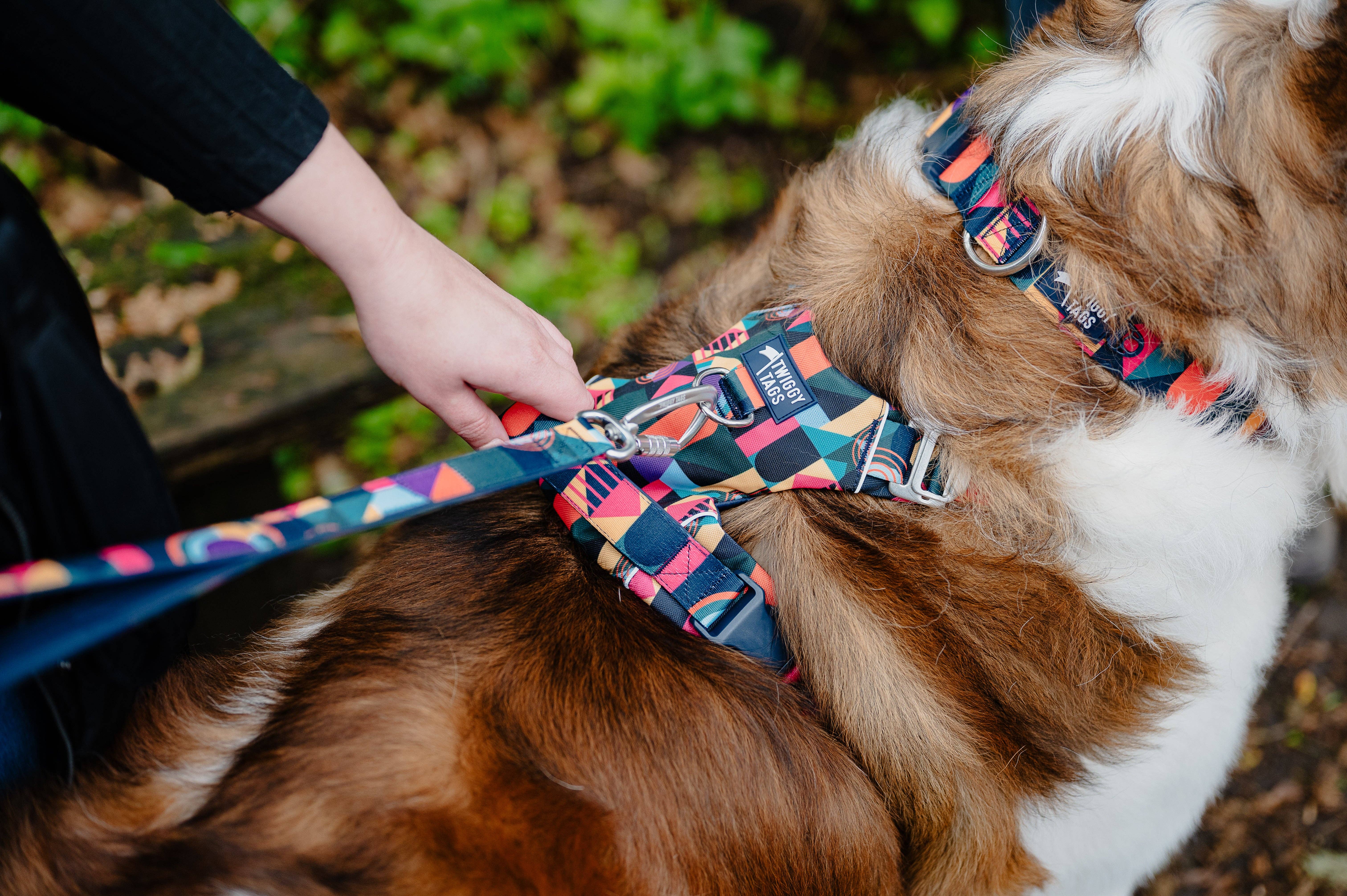 Twiggy Tags – wholesale Pet leash – Dog – Close Control Lead2