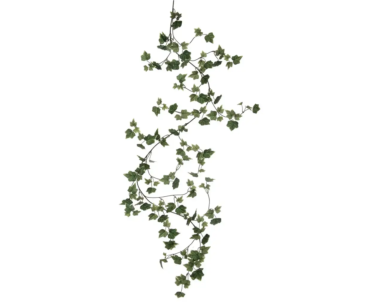 CMC Wholesale – wholesale Bunting/garland – Cottage Ivy Garland 68" - Varigated Green/White0