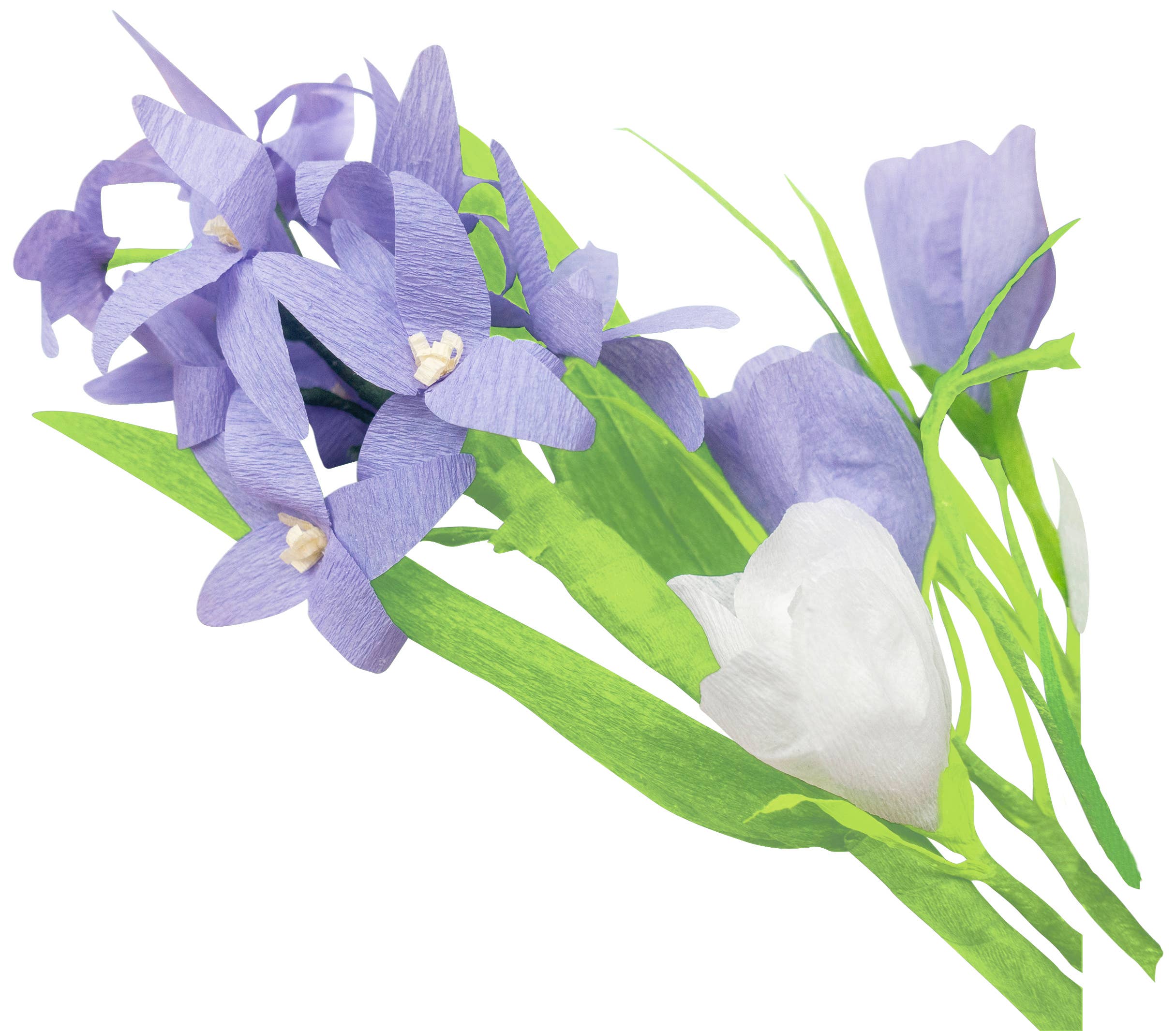 URSUS® / Buntpapierfabrik Ludwig Bähr GmbH & Co. KG - Vendita all'ingrosso Attrezzature per lavoretti e fai da te - Set da 10 rotoli di carta crespa artigianale nei colori pastello2