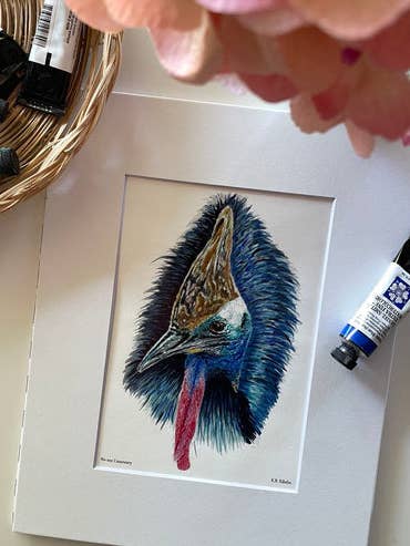 Cassowary - Giclee Print for wholesale by Bird Art by KB