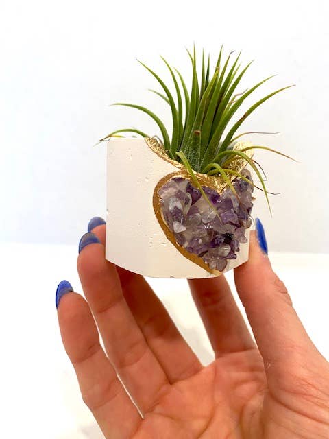 Plant One On Me Designs - Wholesale Plant pot - Amethyst HEART Geode Planter w/ Air Plant - Air Plant Holder7