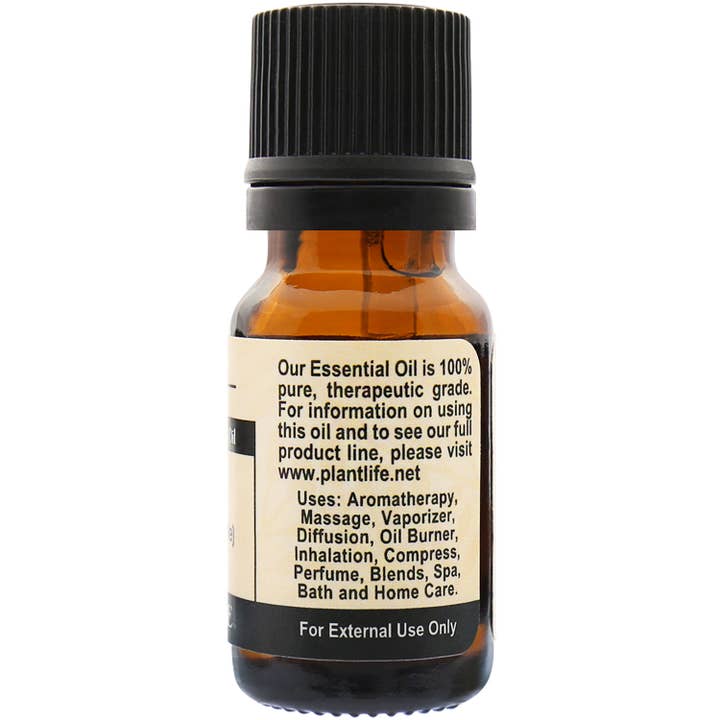 Plantlife - Wholesale Essential Oil - Ginger Essential Oil1