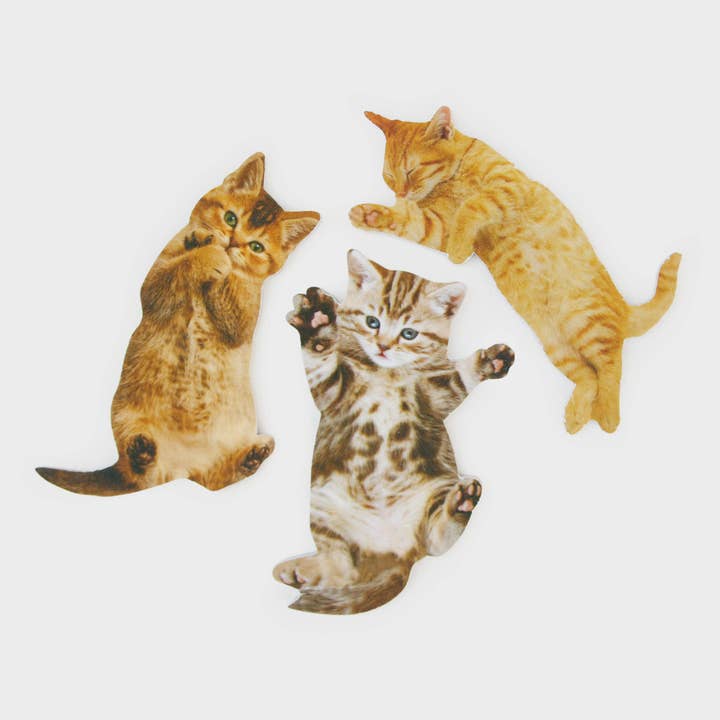 SUCK UK - Vendita all'ingrosso Lime per unghie - Lima per unghie per gatti — Mantiene le unghie in perfette condizioni5