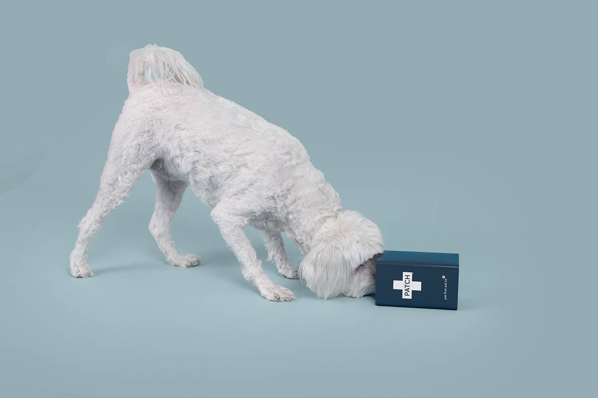 PATCH (Aus) - Eco First Aid - Wholesale Pet Cleaning Supplies - PATCH Pet Eco First-Aid Kit for Pets2