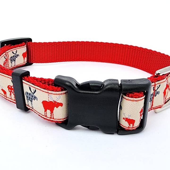 3/4" Moose Dog Collar, Leash, or Martingale for wholesale by Rocky Mountain Hound