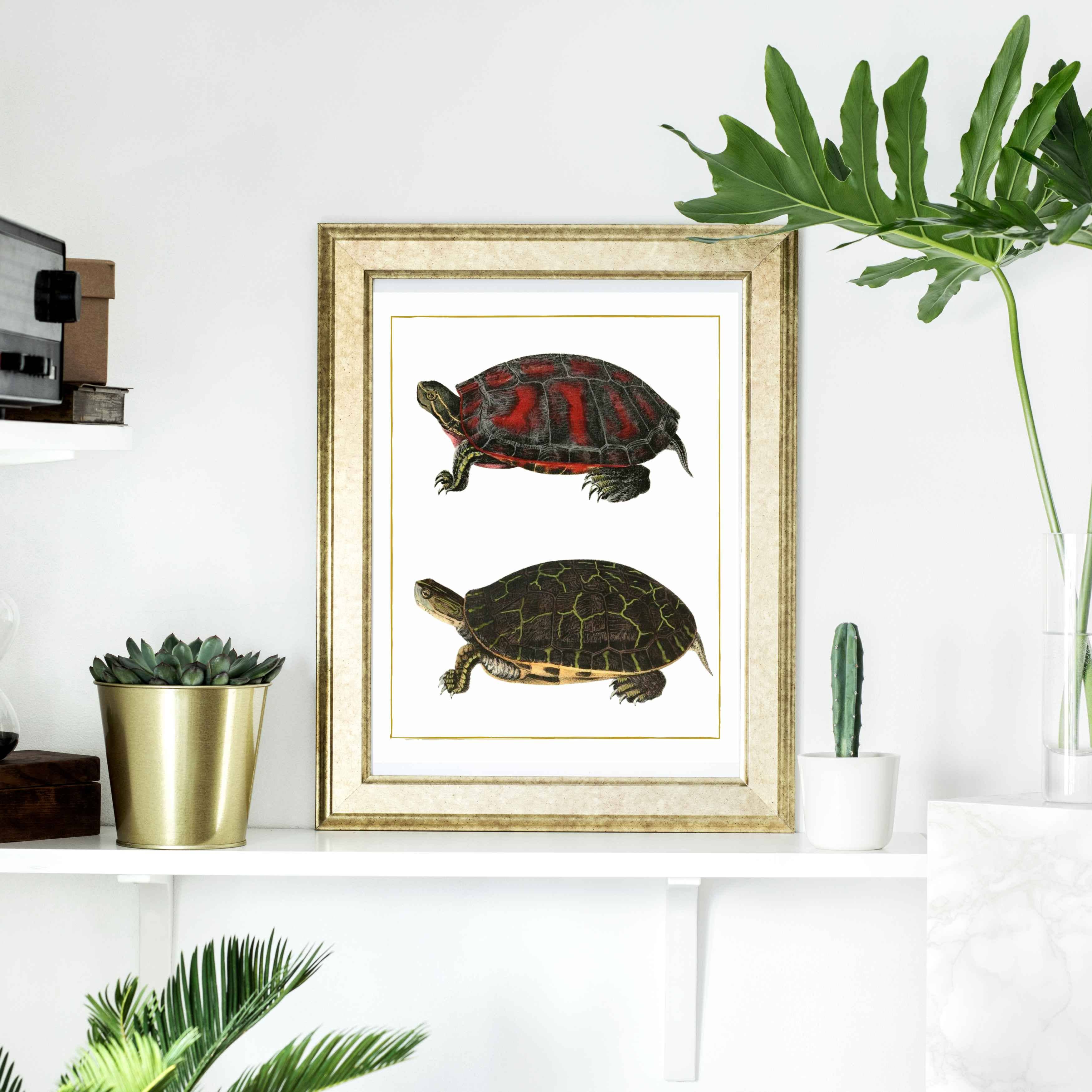 Magnifique Hearts – Großhandel Kunstdruck – Tropical Turtle Harmony: Lebendige Kunstdrucke mit exotischen Schildkröten3