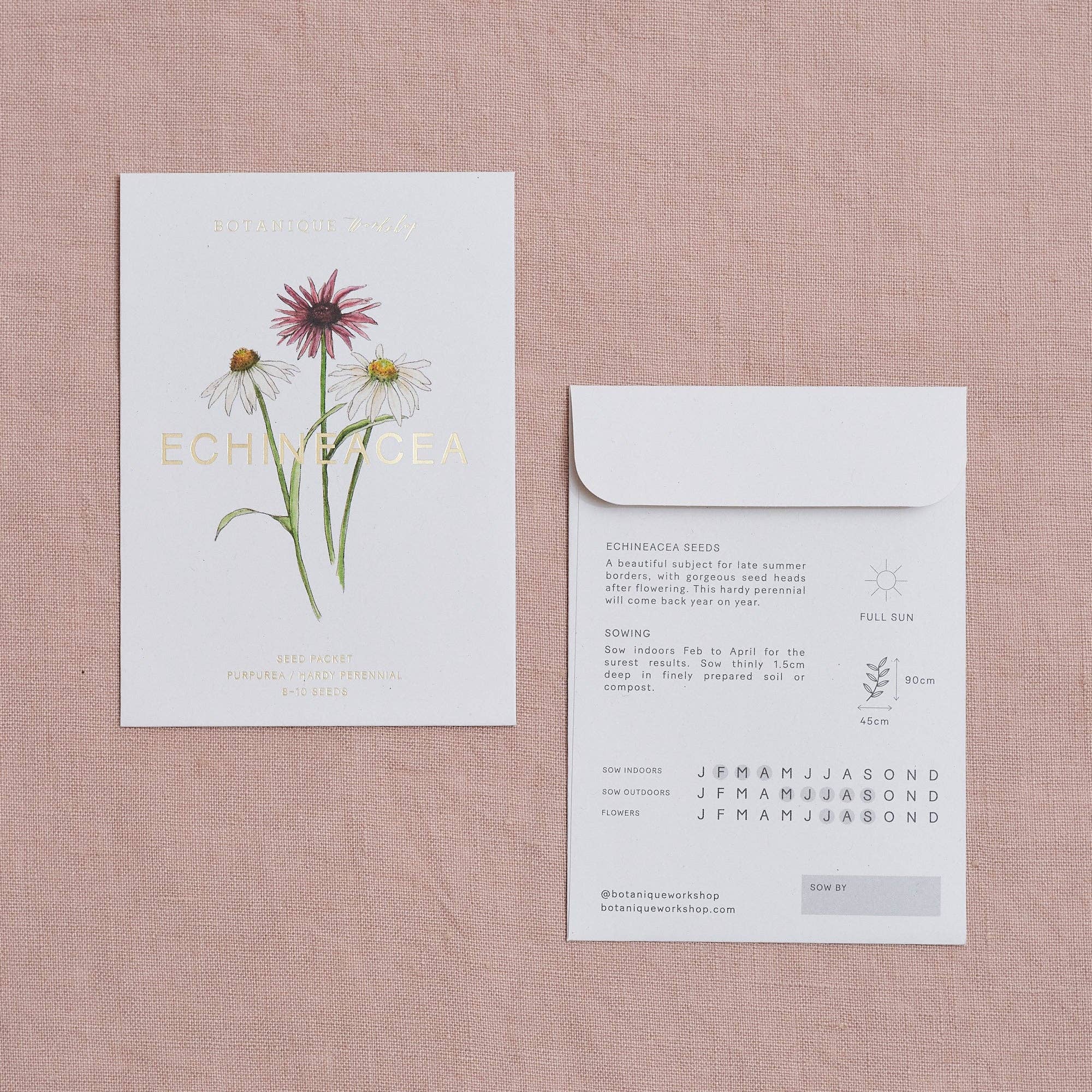 Botanique Workshop – wholesale Plant seeds – Echineacea Purpurea Seed Packet1
