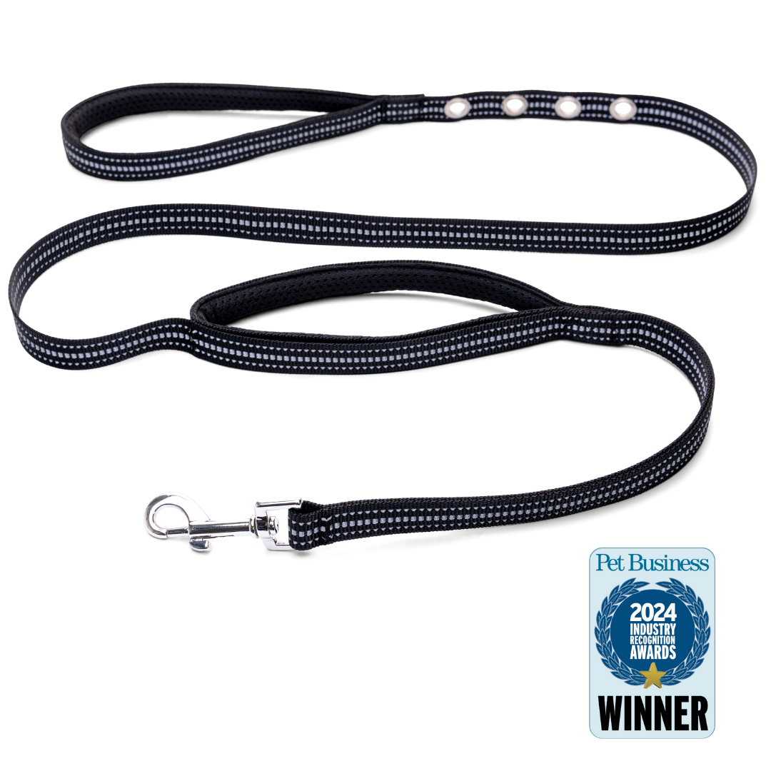 StitchLeash - Wholesale Pet Leash - Dog - StitchLeash® Bryce Clip & Go™ Flat Nylon Leash – Black | 6 ft | 24 per case7