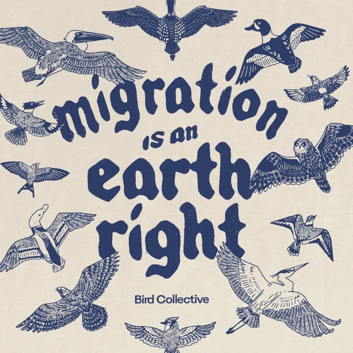 Ivory Migration Is An Earth Right Tee for wholesale on Faire1