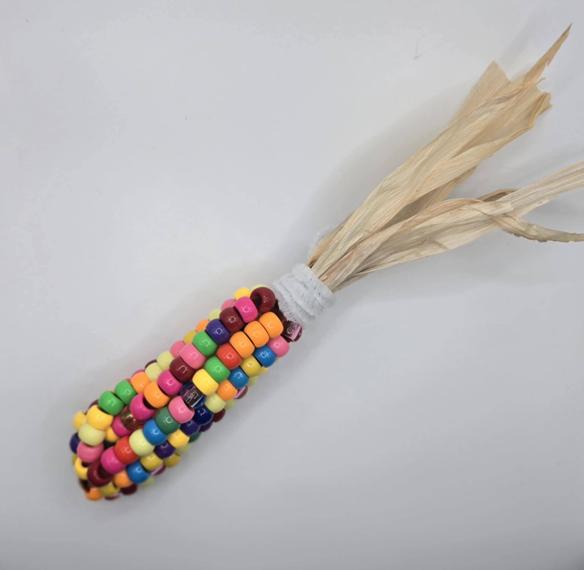 10 Buffalos Art - Wholesale DIY Craft Kit - Kids - Cherokee  3d Teaching/Activity Kit (K-12) 1